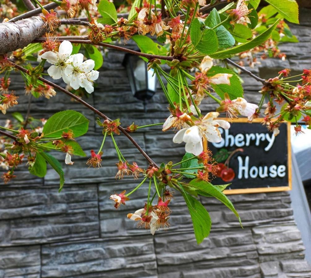 Cherry House Stepantsminda Exterior photo
